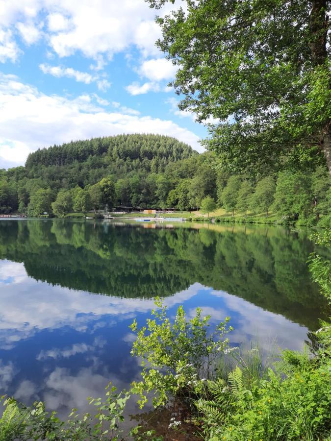 Ferien Am Maar Apartment Daun Bagian luar foto